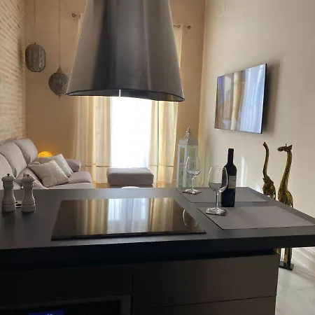 Апартаменты Inncadizpalacio Conde Casa-brunet