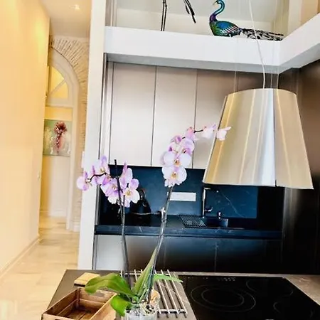 Inncádizpalacio Conde Casa-brunet Apartamento Cádiz