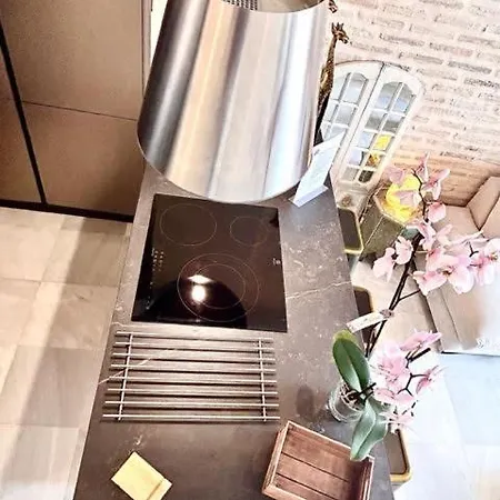 Inncadizpalacio Conde Casa-brunet Апартаменты *