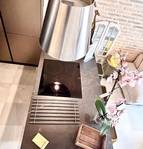 Inncadizpalacio Conde Casa-brunet Apartmán *