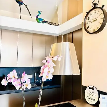 公寓 Inncadizpalacio Conde Casa-brunet *