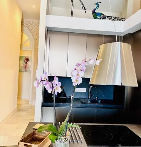 Inncadizpalacio Conde Casa-brunet Apartment Cádiz