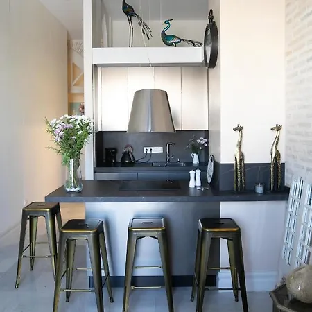 Inncadizpalacio Conde Casa-brunet Apartment